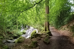 stream-scaled